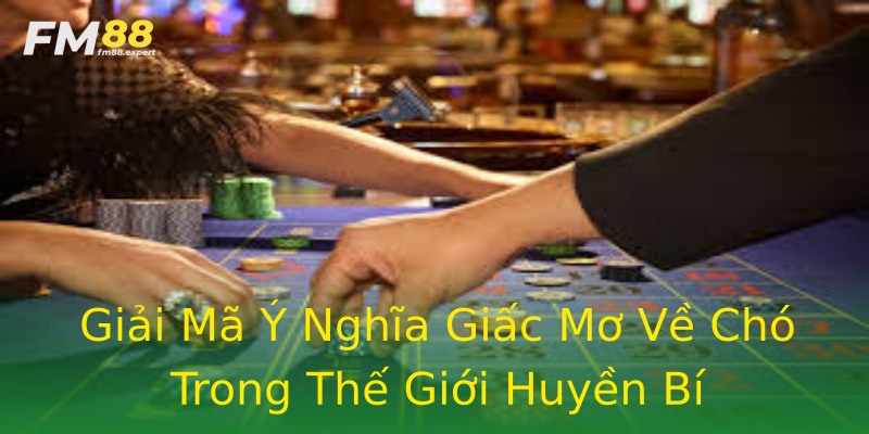 Giải Mã Ý Nghĩa Giấc Mơ Về Chó Trong Thế Giới Huyền Bí Giải Mã Ý Nghĩa Giấc Mơ Về Chó Trong Thế Giới Huyền Bí
