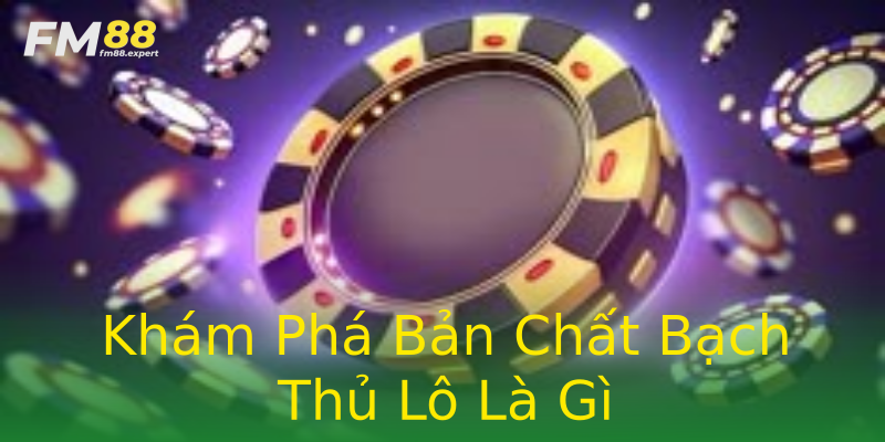 Khám Phá Bản Chất Bạch Thủ Lô Là Gì Khám Phá Bản Chất Bạch Thủ Lô Là Gì