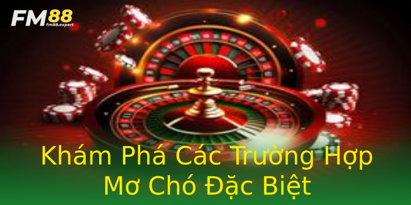 Khám Phá Các Trường Hợp Mơ Chó Đặc Biệt Khám Phá Các Trường Hợp Mơ Chó Đặc Biệt