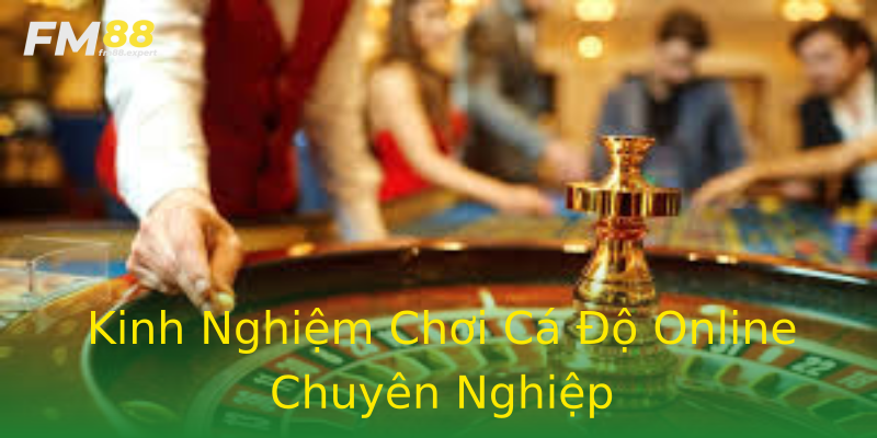 Kinh Nghiệm Chơi Cá Độ Online Chuyên Nghiệp Kinh Nghiệm Chơi Cá Độ Online Chuyên Nghiệp
