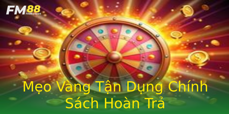 Mẹo Vàng Tận Dụng Chính Sách Hoàn Trả Mẹo Vàng Tận Dụng Chính Sách Hoàn Trả