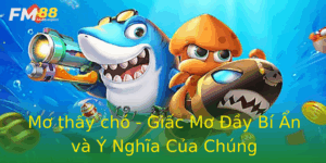 Mo Thay Cho Giac Mo Ay Bi An Va Y Nghia Cua Chung