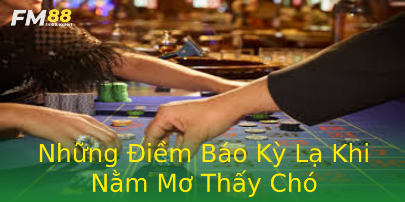 Những Điềm Báo Kỳ Lạ Khi Nằm Mơ Thấy Chó Những Điềm Báo Kỳ Lạ Khi Nằm Mơ Thấy Chó